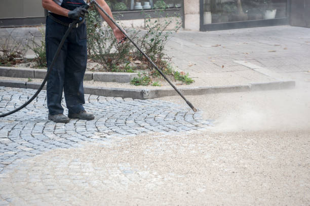 Best Driveway Pressure Washing  in Vineyard, CA